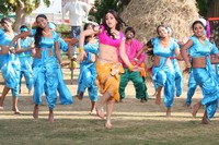 Rey Rey Movie New Photos